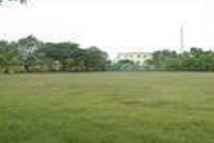 sports